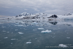 Arctic landscape