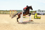 SBM_006251