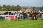 Race 7 5pm Fango Handicap (Div II) portfolio