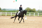 SBM_006515