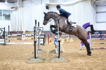 SBM_001181