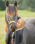 horses-37