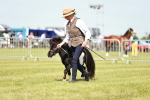 SBM_01919