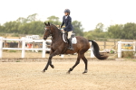 SBM_008026