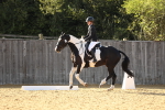 SBM_28535