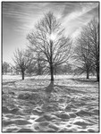 Wimpole Hall 16Dec22-7-Edit