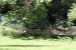 FOM_0713