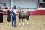 SBM_17453