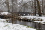 Beast From the East arrives at Minnowburn