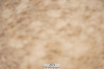 240317A-102948-04826