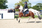SBM_16887