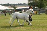 SBM_00571