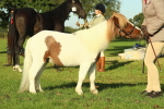 SBM_58572