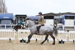 SBM_006981