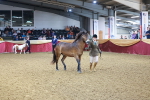 SBM_14719