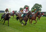 160626-Race 6-Crocus Time-5