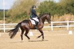 SBM_008467