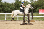 SBM_003050