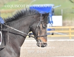 BPP_8439