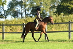 SBM_56417