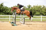 SBM_003430