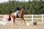 SBM_015834
