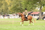 SBM_64225