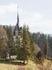 Peles Castle #1