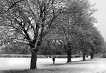 Walking in the Snow.