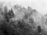 Slovenia iPhone - 161