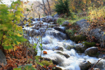 Camden State Park