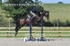 BPP_5942