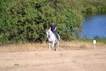 WJ6_7027
