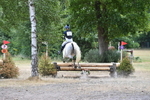 WJ5_1356