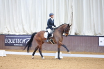 Class 4 - Novice 4 portfolio