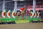SBM_006378