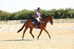 SBM_002891