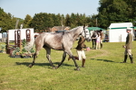 SBM_20039