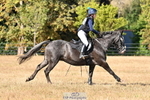 2155-Alaya.Airey-Tronto portfolio
