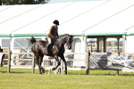 SBM_19342