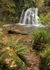 Fairy Glen Rosemarkie