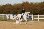 SBM_010384