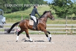 BPP_3366