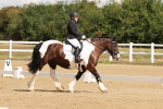 SBM_000435
