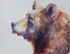 WCW11143 Grizzly Profile