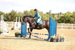 SBM_006398