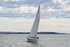 190729 SEA BADGER GBR9483T 1Y3A6699