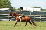 SBM_06848