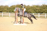 SBM_001487