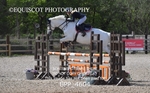 BPP_4604
